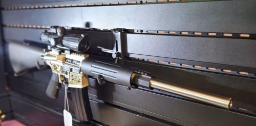 DPMS AR15 2nd Amendment